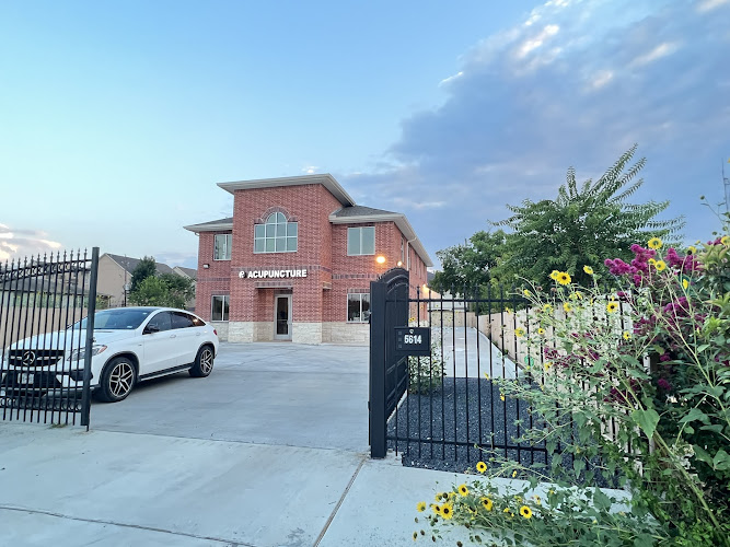 Acupuncture Herbal Wellness Center