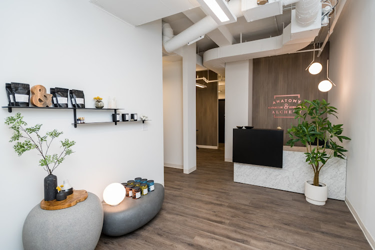 Anatomy & Alchemy Acupuncture & Herbal Medicine