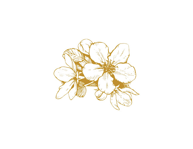 Arkansas Counseling and Wellness Services