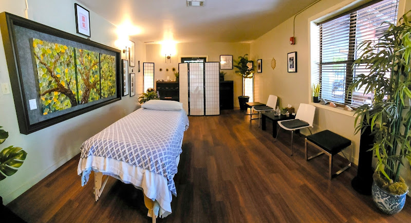 Austin Holistic Center - Reiki Energy Healing - Biomagnetism - BioMagnetic Therapy - Reiki Classes