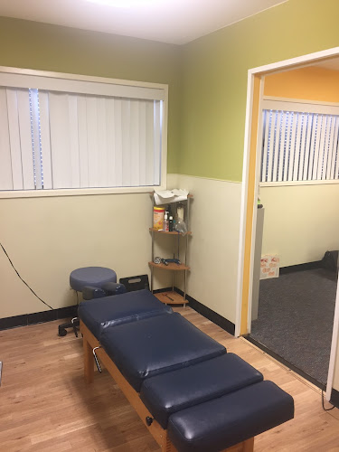 Bay Wellness Center: Theodros Shawl, DC