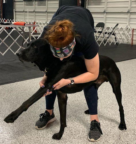 Beastly Body Alignment