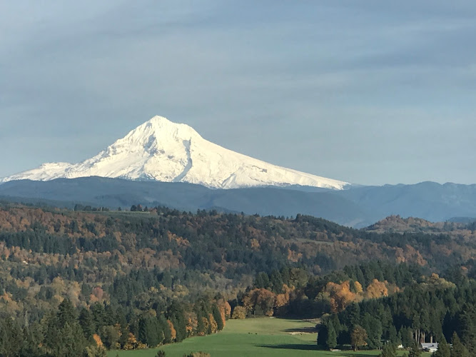 Blackbird Natural Health