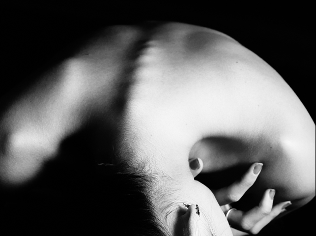 Blue Heron Chiropractic