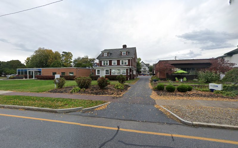 Branches of Life Health & Wellness