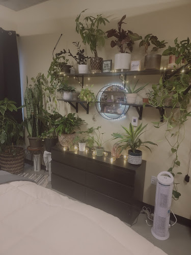 Calmed Soul Holistic Spa