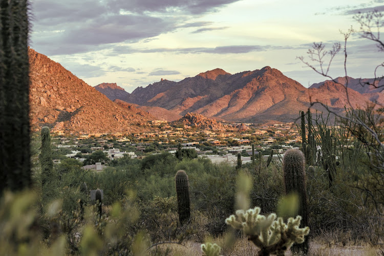 Cecilia Berkley Holistic Spa
