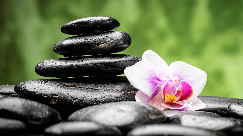 Center for Acupuncture & Anti-Aging Medicine: Dr. Chianni Lin