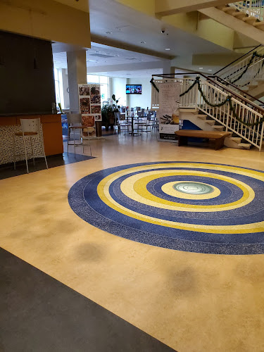 Center for Chiropractic & Wellness