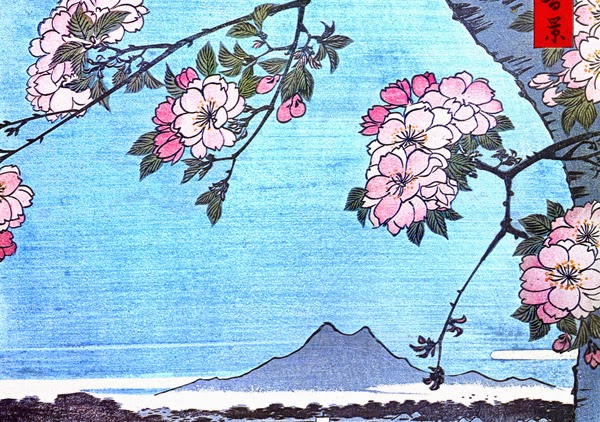 Chris La Rosa Acupuncture