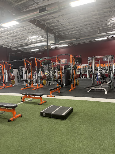 Conte Sport Performance Therapy