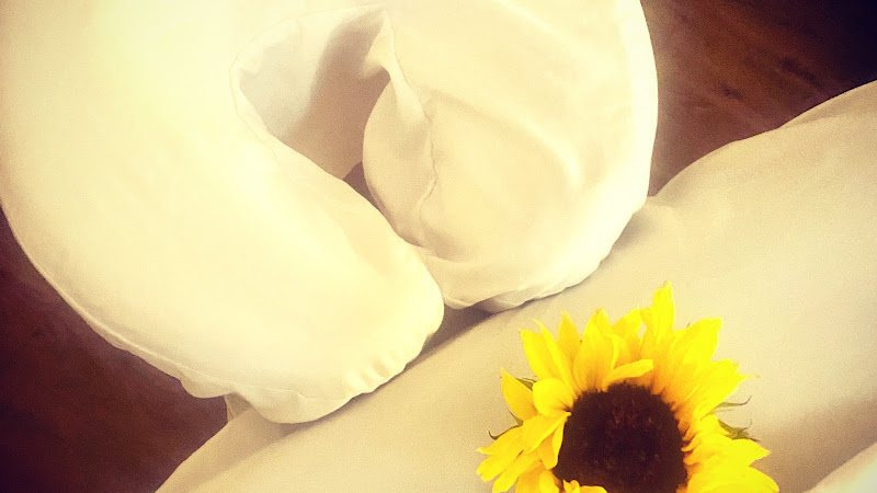 Denver Massage Lisa Johnson LMT