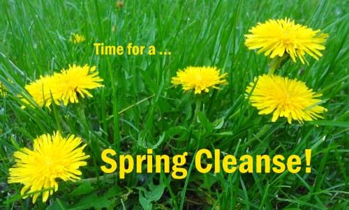 Edwards Holistic Health & Wellness