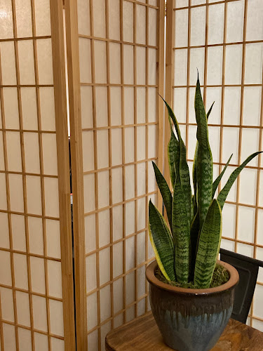 Embodied Acupuncture