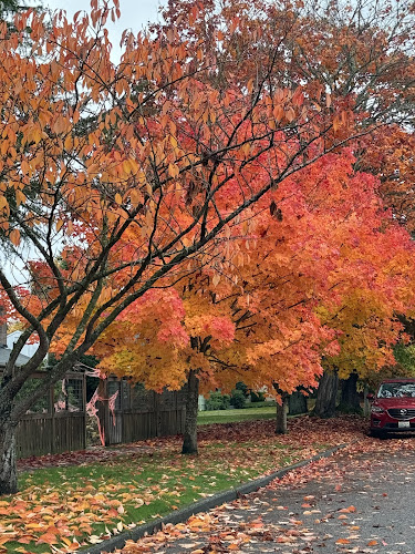 Empower Acupuncture West Seattle
