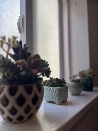 Enchanted Massage & Wellness