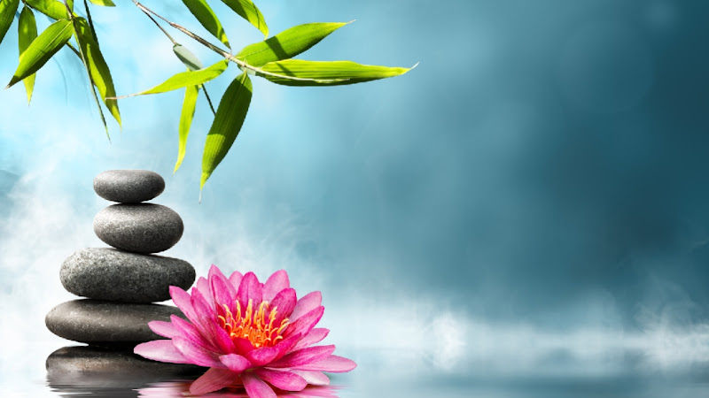 Energetic Essence, LLC