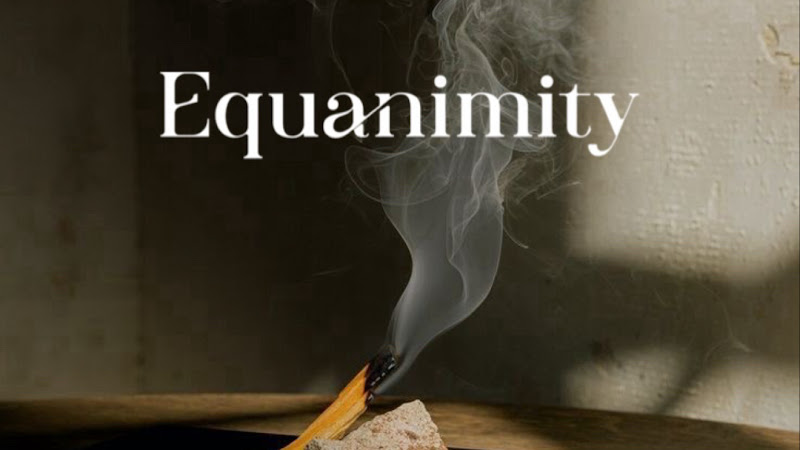 Equanimity Wellness Studio