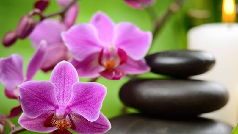 Evergreen Acupuncture & Anti-Aging Wellness Center Inc.