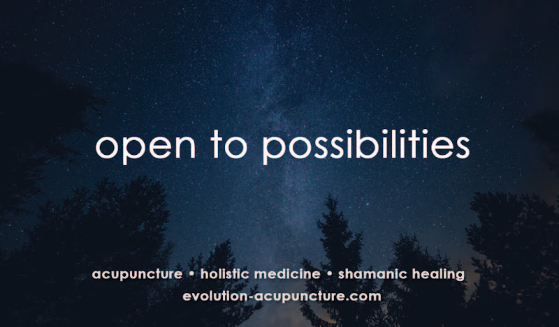 evolution acupuncture + holistic medicine