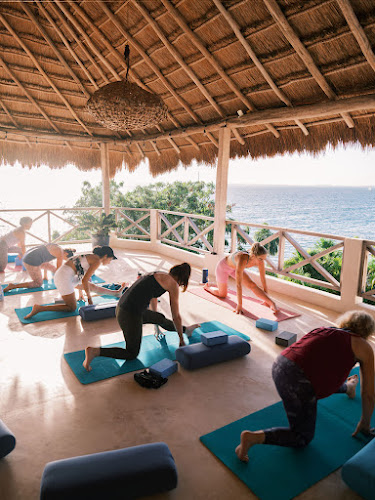 High Vibe Collective