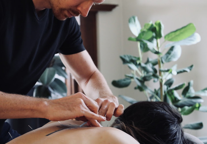 Higher Ground Acupuncture