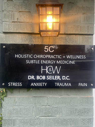 Holistic Chiropractic & Subtle Energy Medicine