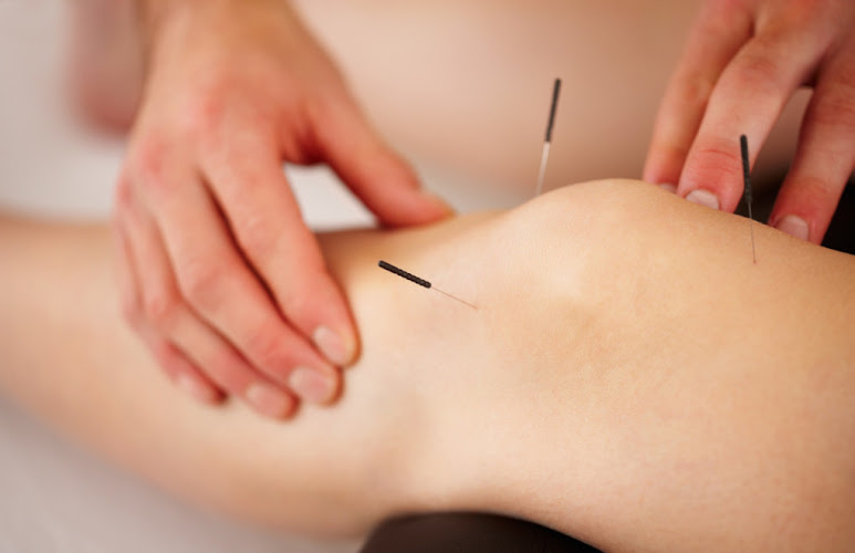 Holistic Health Care Miami