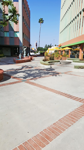 Holistic Psychotherapy Center