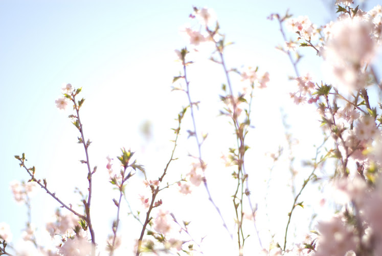 Infinite Potential Therapy