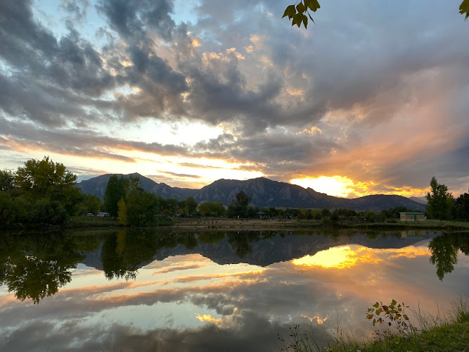 Juniper Tree Acupuncture
