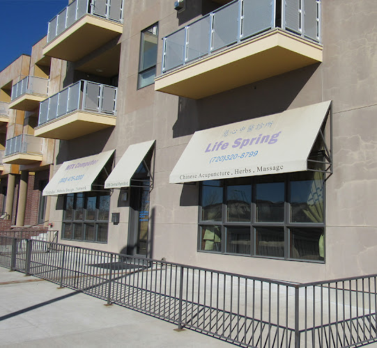 Life Spring Acupuncture Clinic