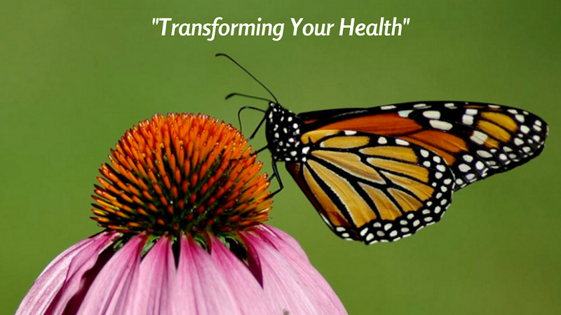 Monarch Integrative Medicine