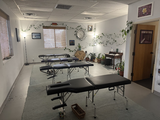 Next Level Chiropractic