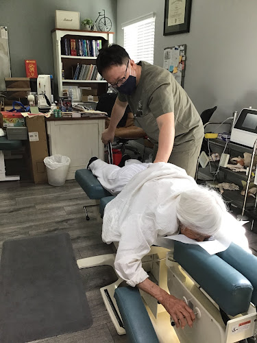 Olympic Spine & Rehab