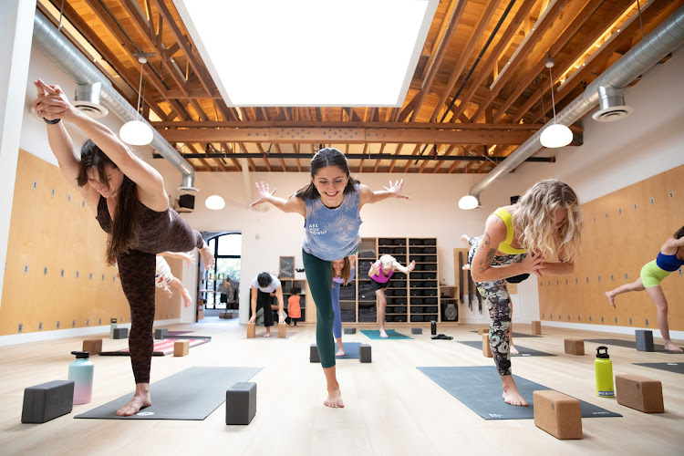 One Down Dog | Yoga + Fitness Studio