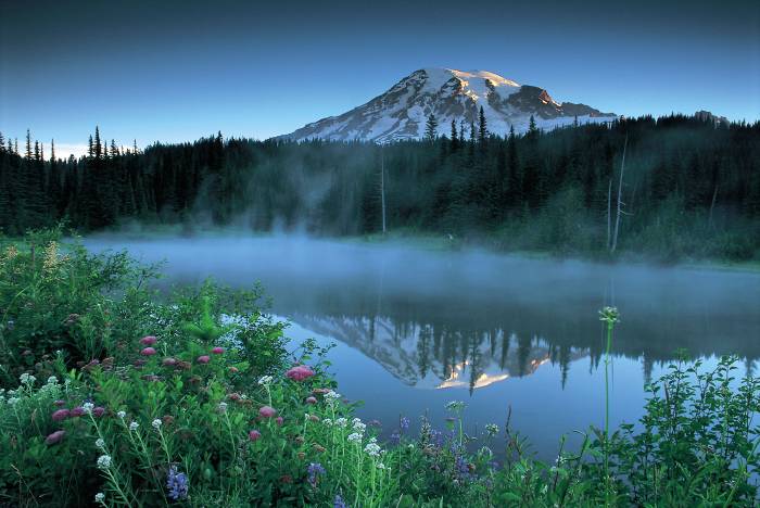 Optimal Health Medicine Center