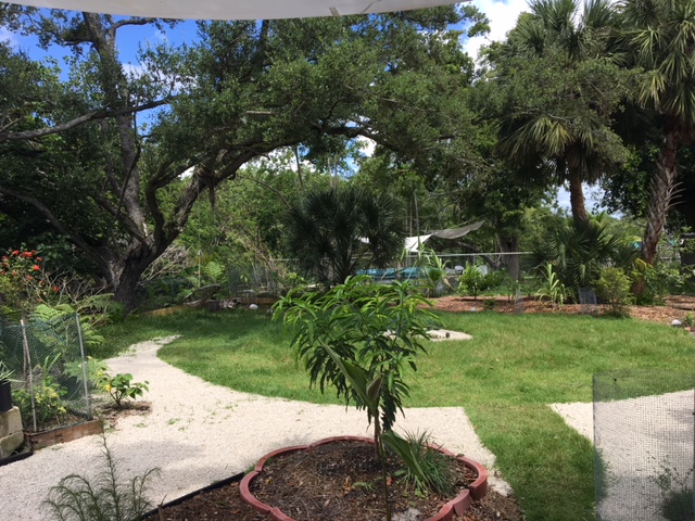 Osho Bodhisattva Meditation Garden