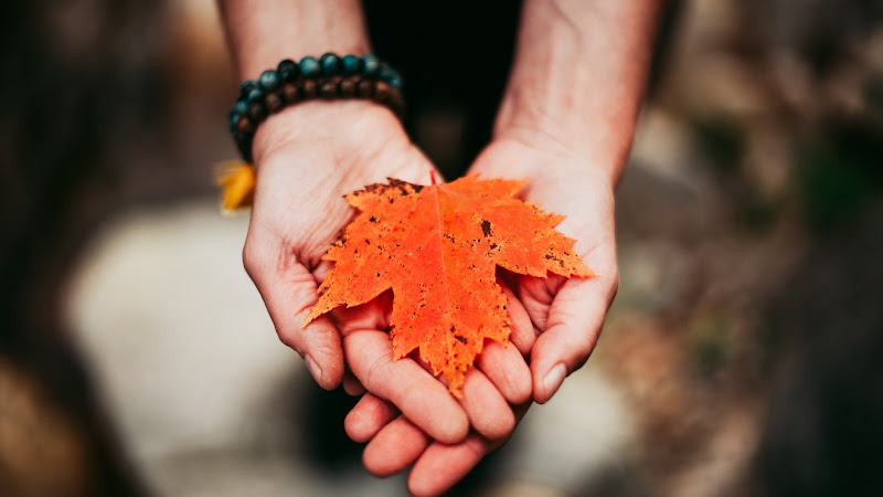 Pathways to Peace and Healing