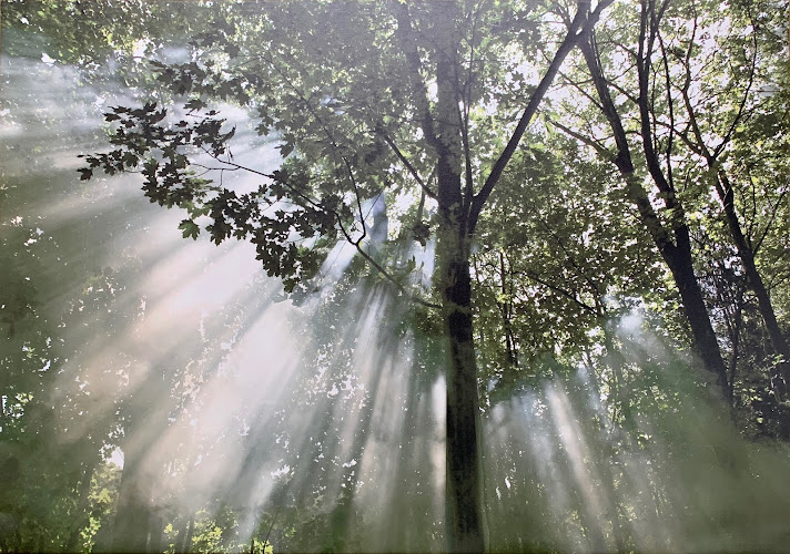 Portland Myofascial Release