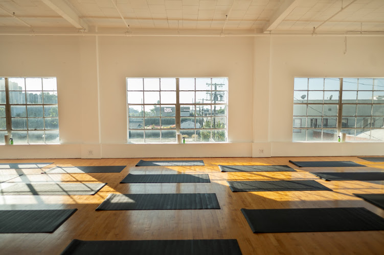 Puppy Sphere | Puppy Yoga (Los Angeles)