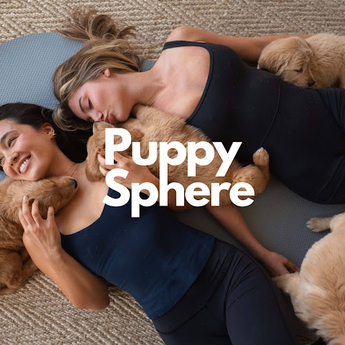 Puppy Sphere | Puppy Yoga (San Francisco)