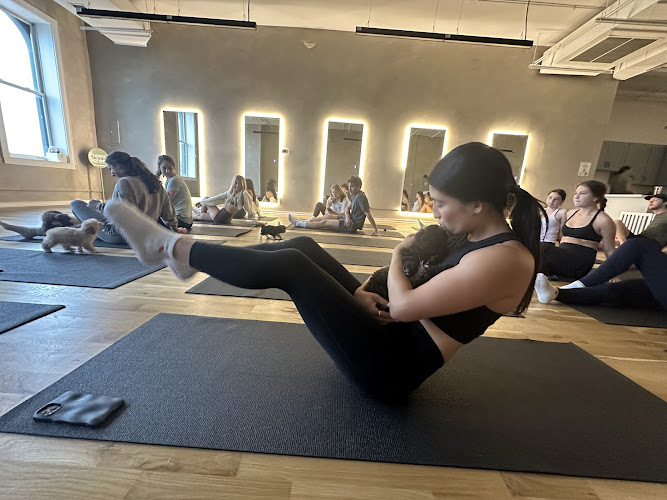 Puppy Sphere | Puppy Yoga (West Town)