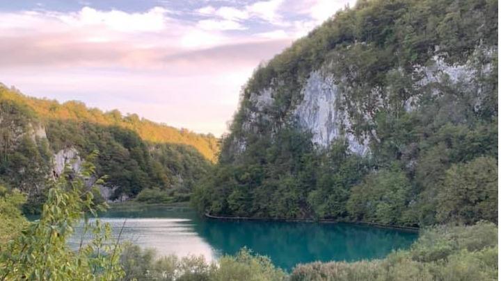 Renew Health and Wellness