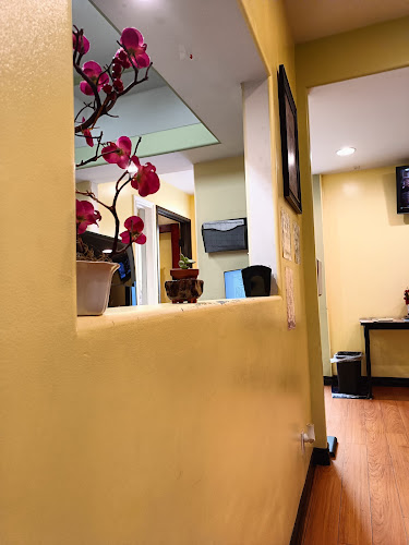 Salomon Chiropractic