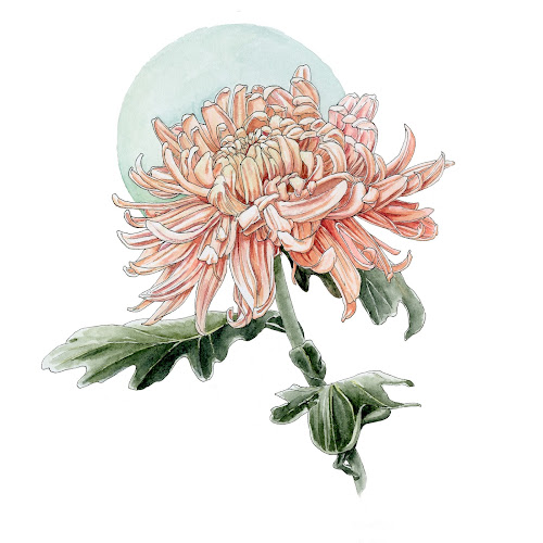 Sarah Johnson Fertility Acupuncture : Austin, TX