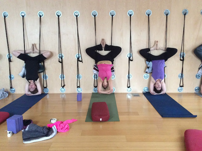 Shakti Yoga & Living Arts