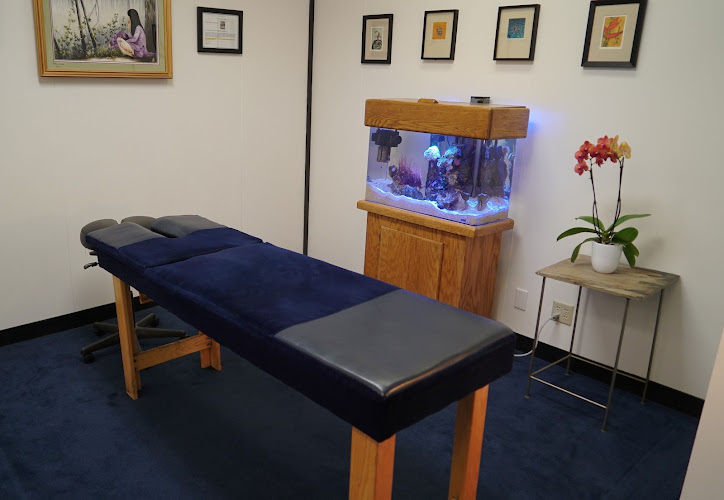 Shapero Chiropractic