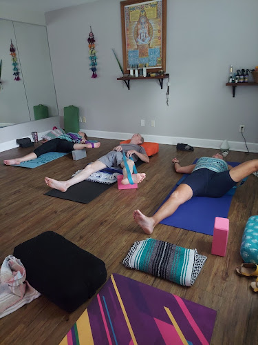 Soul Tree Yoga Studio