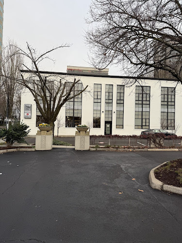 STOUT PERFORMANCE AND PHYSICAL THERAPY